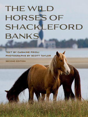cover image of Wild Horses of Shackleford Banks